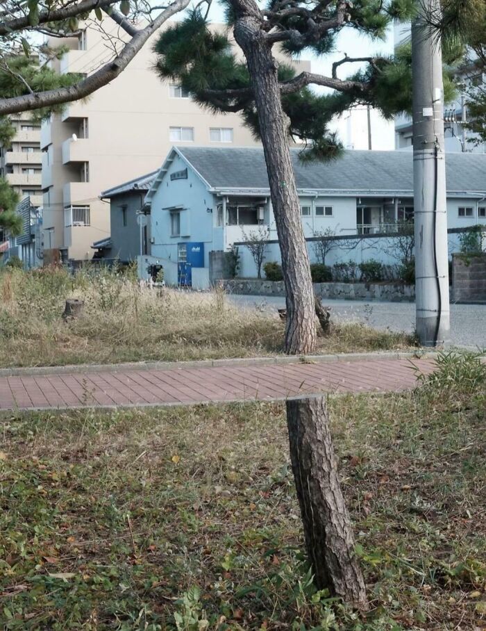 Nice! (You Know What That Means)