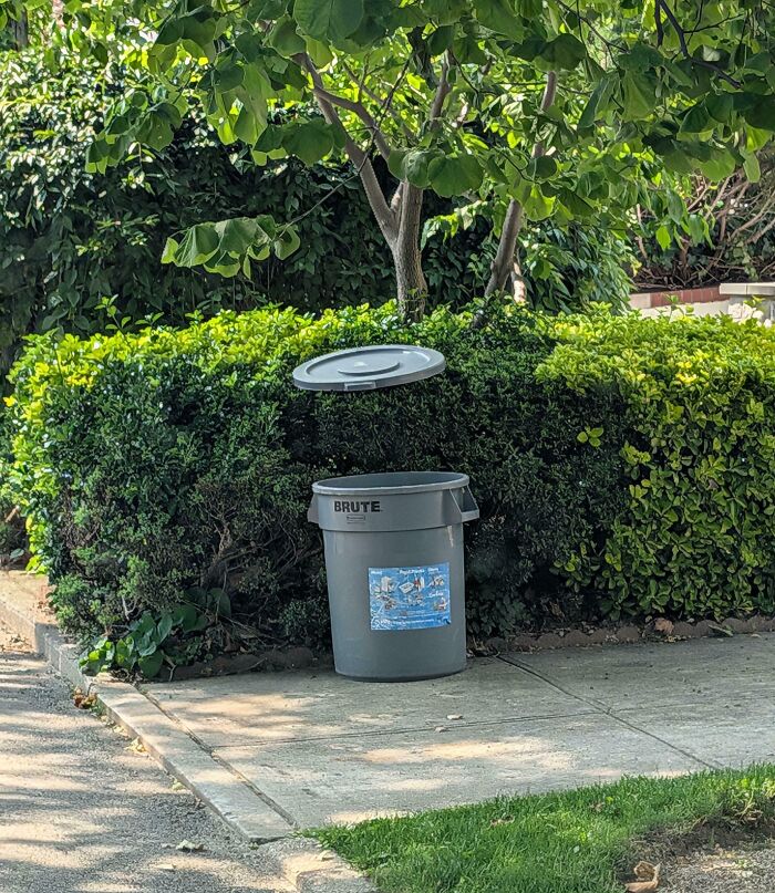 Floating Trashcan Lid? Yep, It’s A Thing