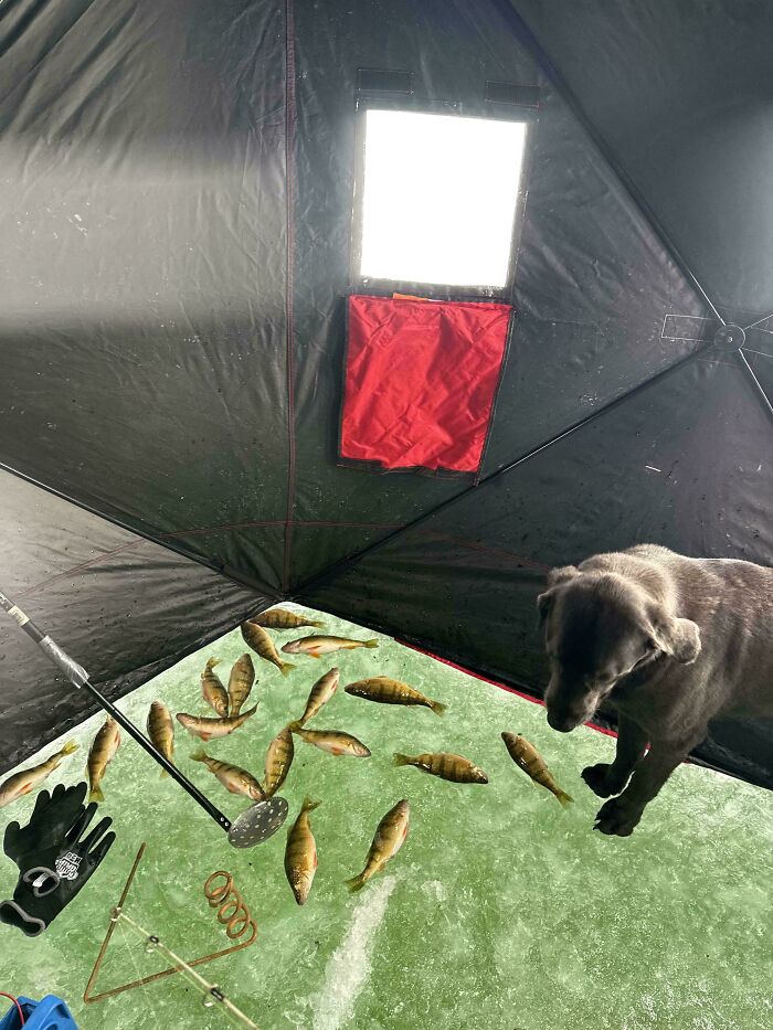 Ice Fishing Inside A Tent On Ice? Welcome To The Coolest Spot Ever