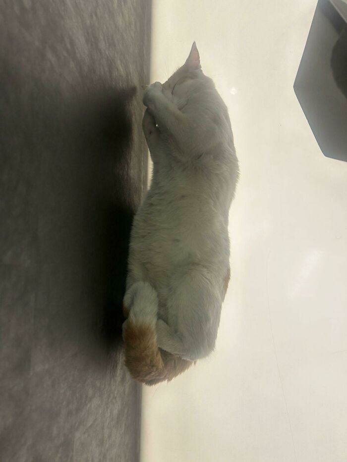 Floating In Two Dimensions? Challenge Accepted!