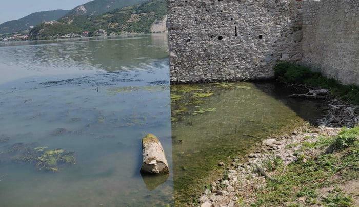 One Picture, Multiple Head-Scratches