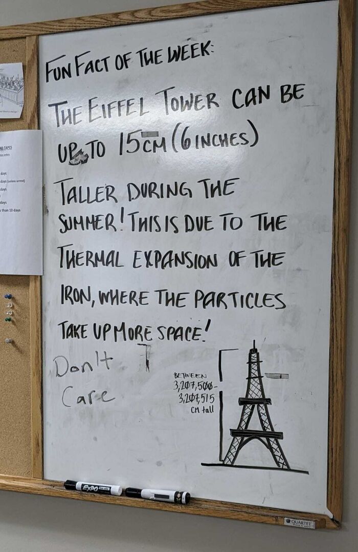 Weekly Fun Fact Forever Ignored