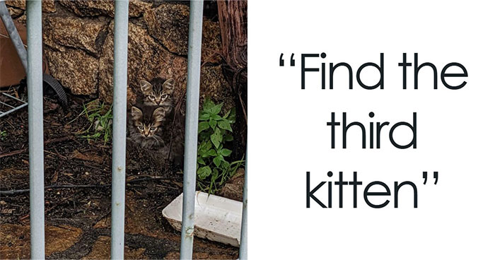 Can You Spot These Sneaky Things? Let’s Play Hide and Seek!