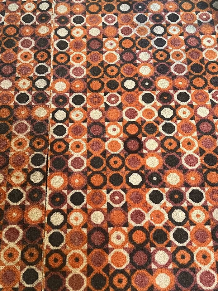 Oops! Dropped My Hair Tie At The Cabin—Can You Find It?