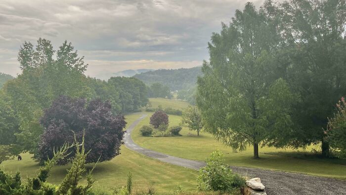 The Bear Was Sneaky! Didn’t See It Until My Brother Pointed It Out