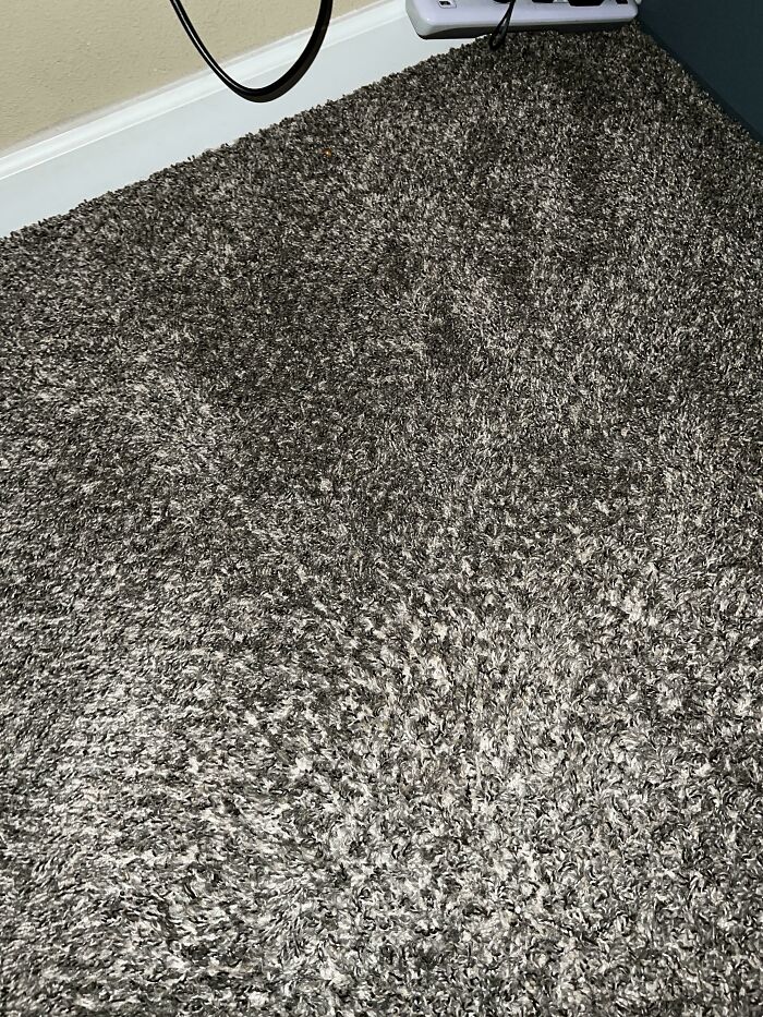 Dropped My Ring And Finally Found It After Days—Try And Spot It!