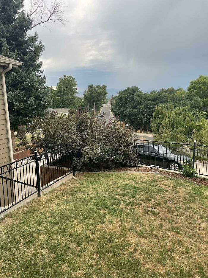 Find The Dog Who’s In Trouble For Eating My Blueberry Muffin