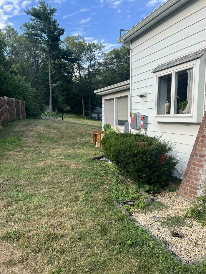 I Love This Pic Of My Cat Being A Sneaky Little Shadow