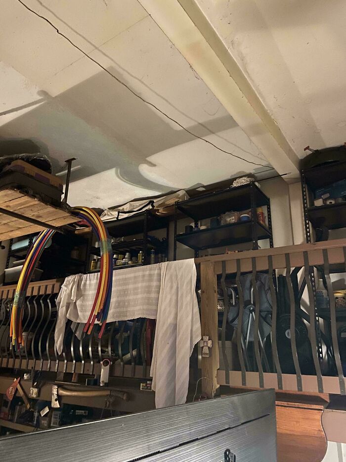 Find The Cat... Or Maybe It Found You?