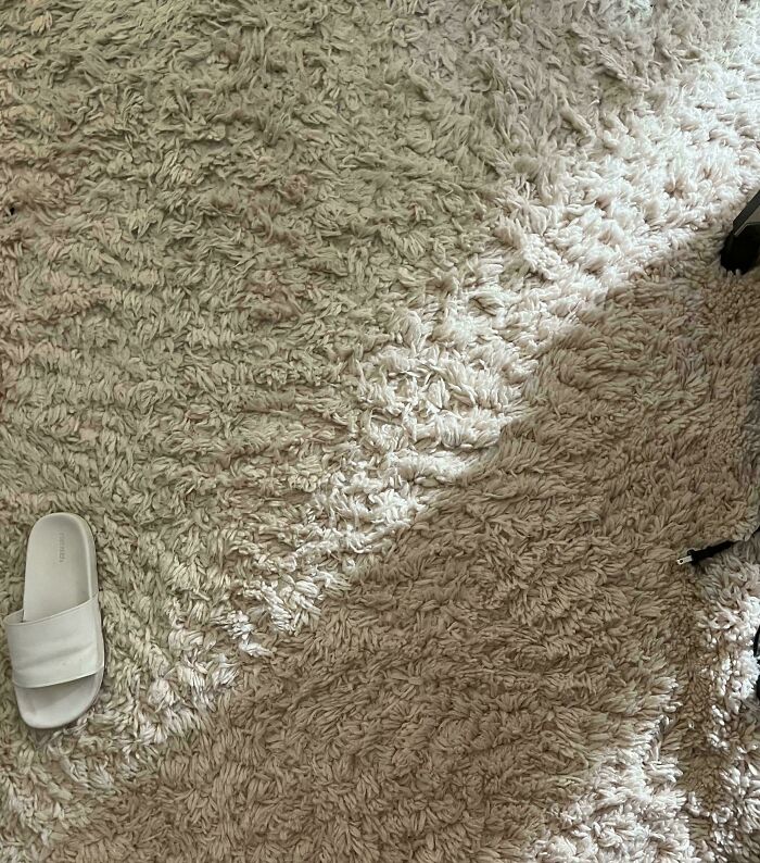 Find The Cap To My Moisturizer—It’s Sneaking Around