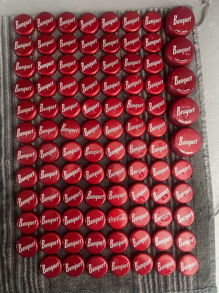 Can You Spot These Sneaky Things? Let’s Play Hide and Seek!