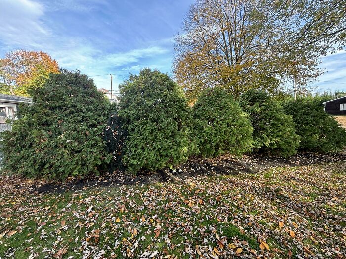 Can You Spot These Sneaky Things? Let’s Play Hide and Seek!