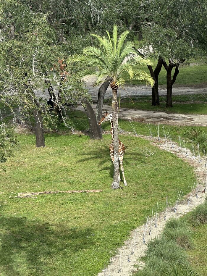 Can You Spot These Sneaky Things? Let’s Play Hide and Seek!