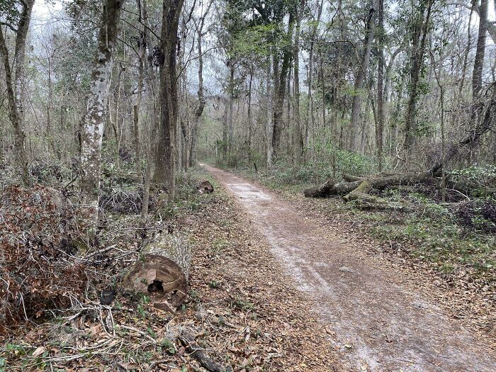 Can You Spot These Sneaky Things? Let’s Play Hide and Seek!