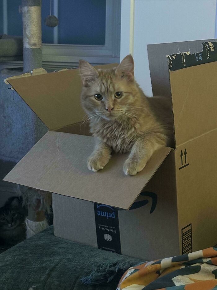 Can You Spot These Sneaky Things? Let’s Play Hide and Seek!