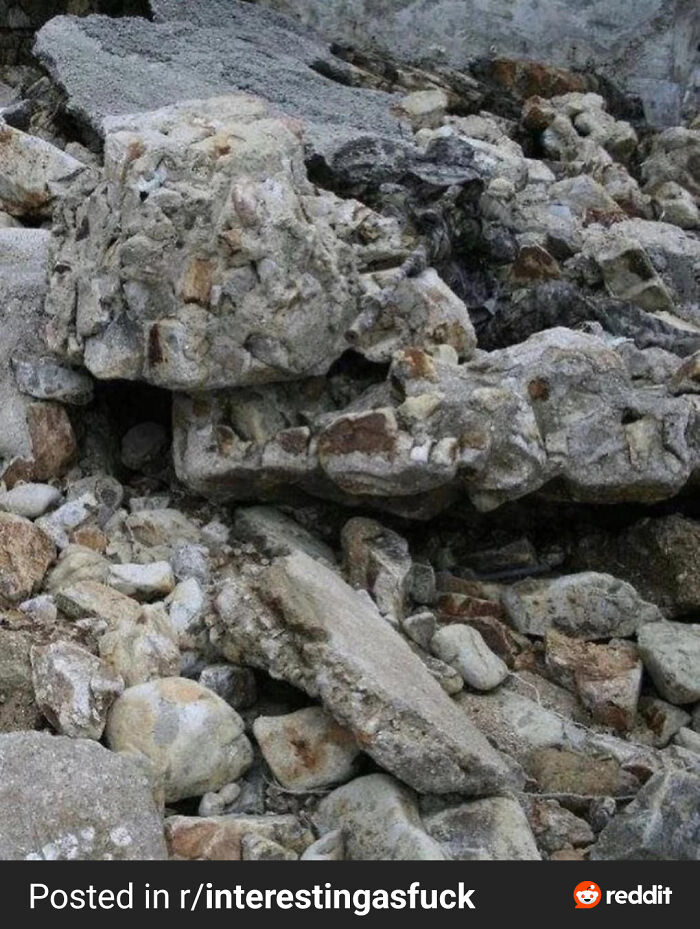 Can You Spot These Sneaky Things? Let’s Play Hide and Seek!