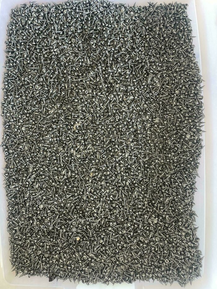 Can You Spot These Sneaky Things? Let’s Play Hide and Seek!