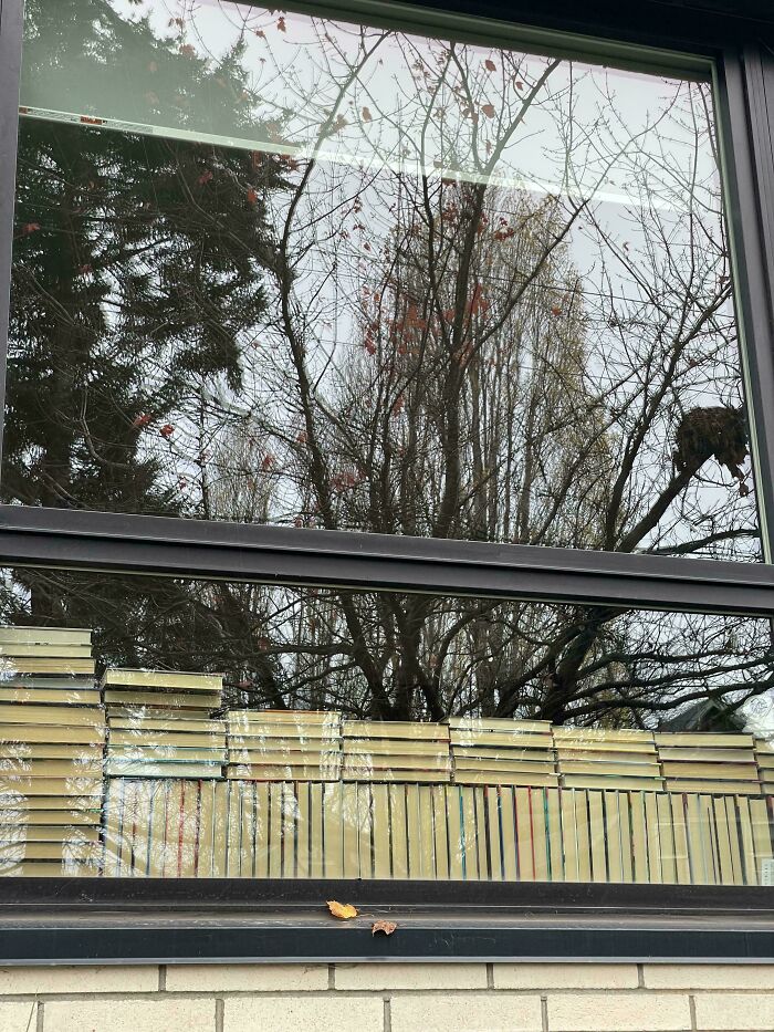 Can You Spot These Sneaky Things? Let’s Play Hide and Seek!