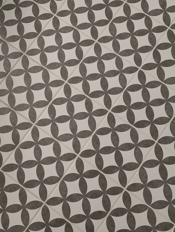 Can You Spot These Sneaky Things? Let’s Play Hide and Seek!