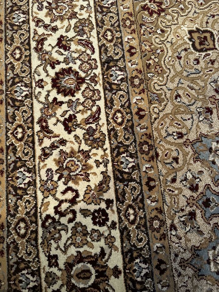 Can You Spot These Sneaky Things? Let’s Play Hide and Seek!