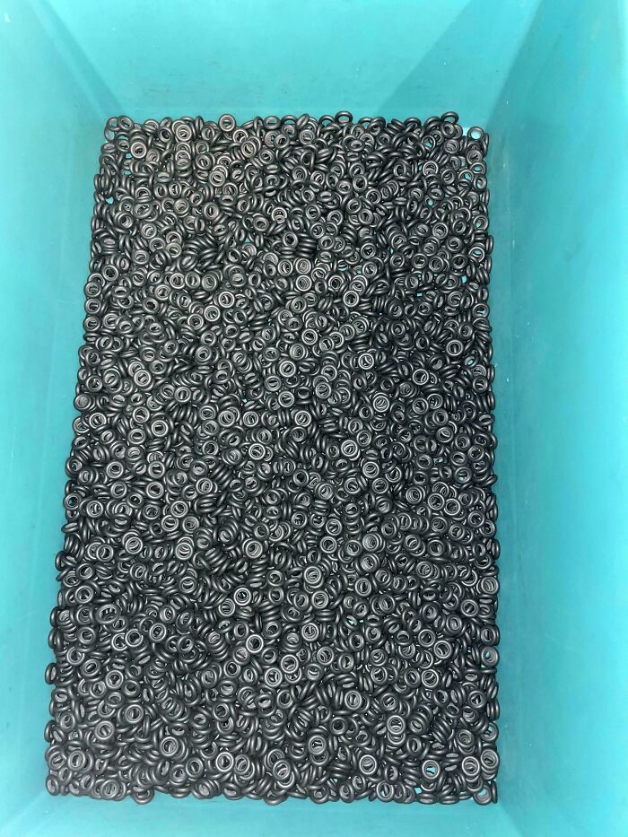 Can You Spot These Sneaky Things? Let’s Play Hide and Seek!