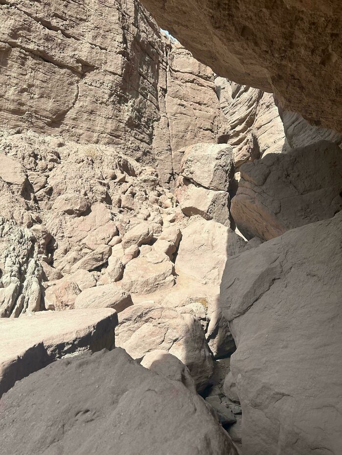 Can You Spot These Sneaky Things? Let’s Play Hide and Seek!