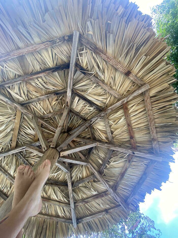 Can You Spot These Sneaky Things? Let’s Play Hide and Seek!