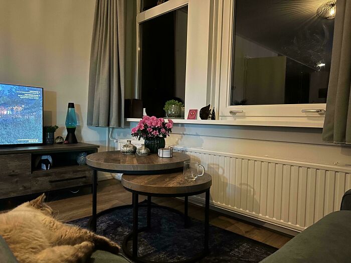 Can You Spot These Sneaky Things? Let’s Play Hide and Seek!