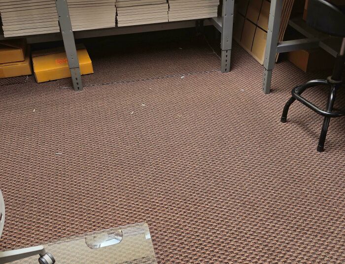 Can You Spot These Sneaky Things? Let’s Play Hide and Seek!