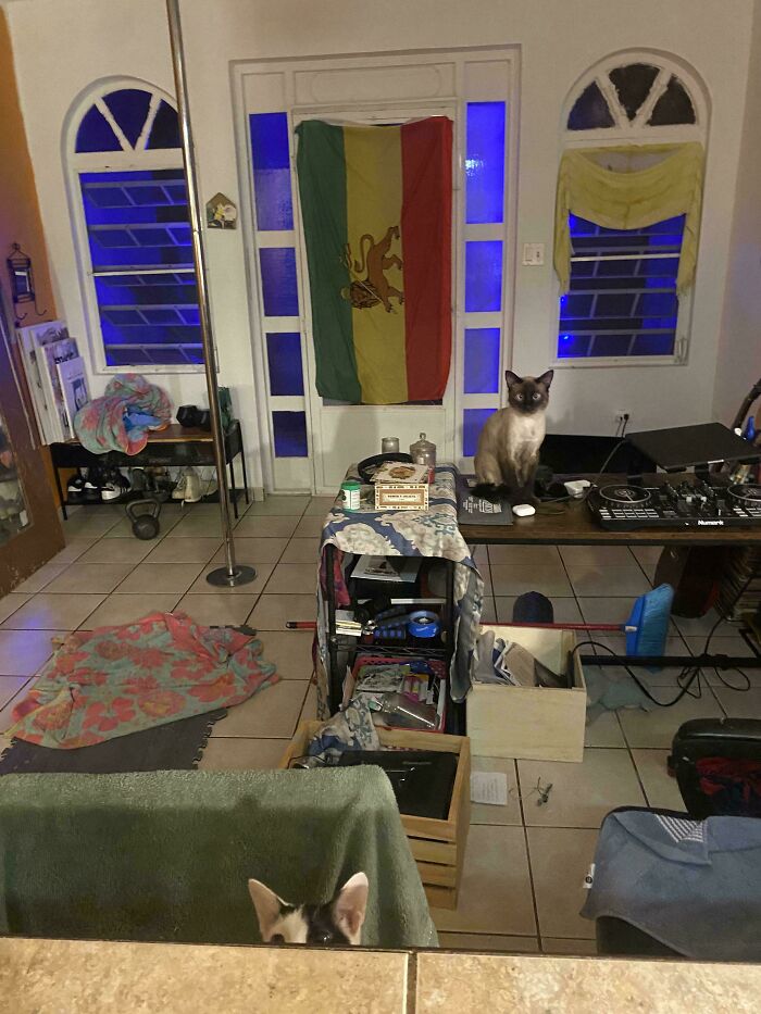 Can You Spot These Sneaky Things? Let’s Play Hide and Seek!