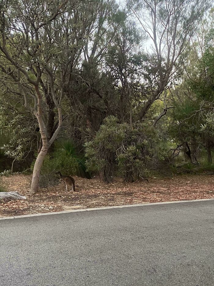 Can You Spot These Sneaky Things? Let’s Play Hide and Seek!