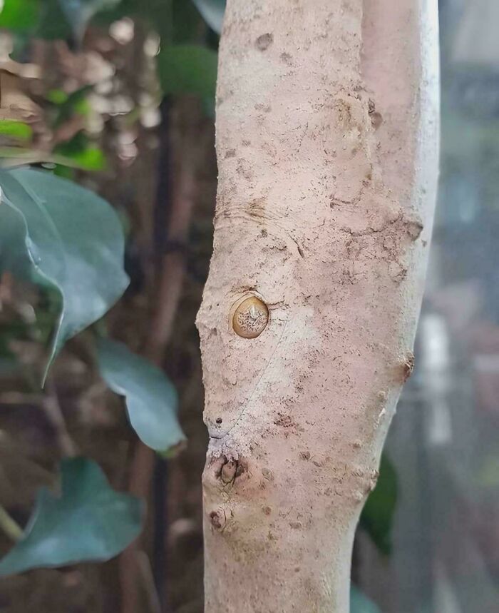 Can You Spot These Sneaky Things? Let’s Play Hide and Seek!