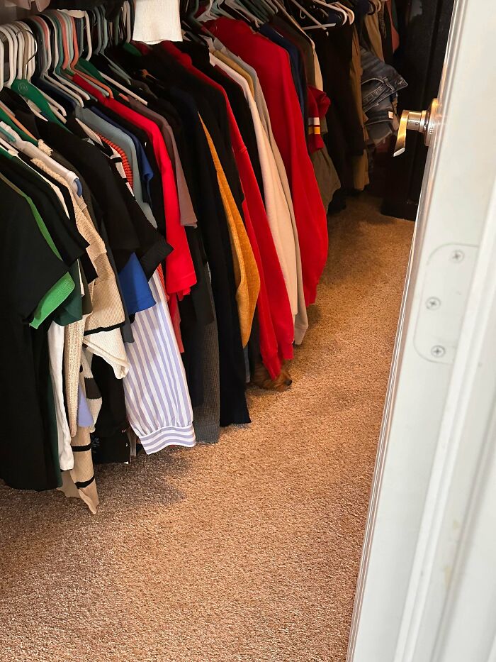 Can You Spot These Sneaky Things? Let’s Play Hide and Seek!