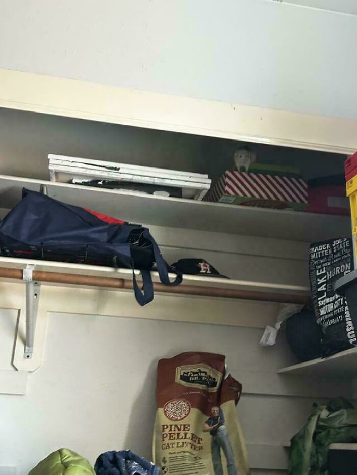 Can You Spot These Sneaky Things? Let’s Play Hide and Seek!