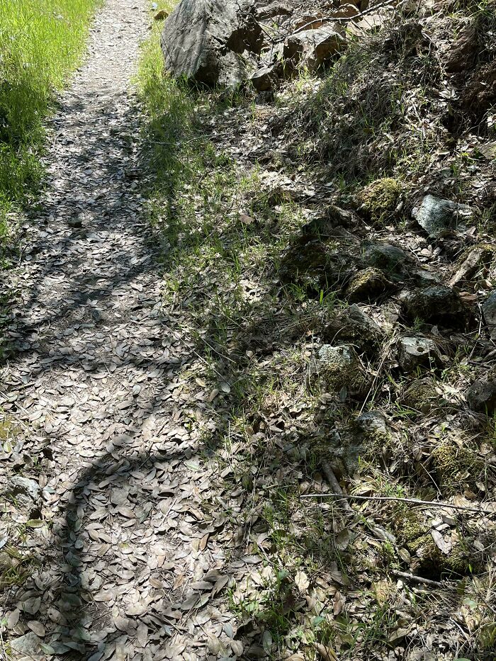 Can You Spot These Sneaky Things? Let’s Play Hide and Seek!