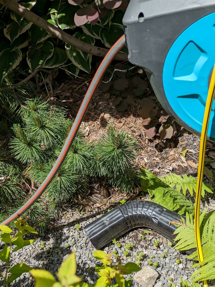 Can You Spot These Sneaky Things? Let’s Play Hide and Seek!