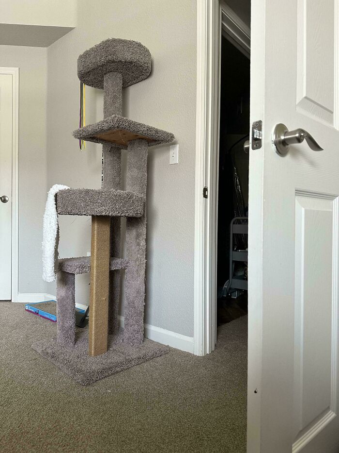 Can You Spot These Sneaky Things? Let’s Play Hide and Seek!