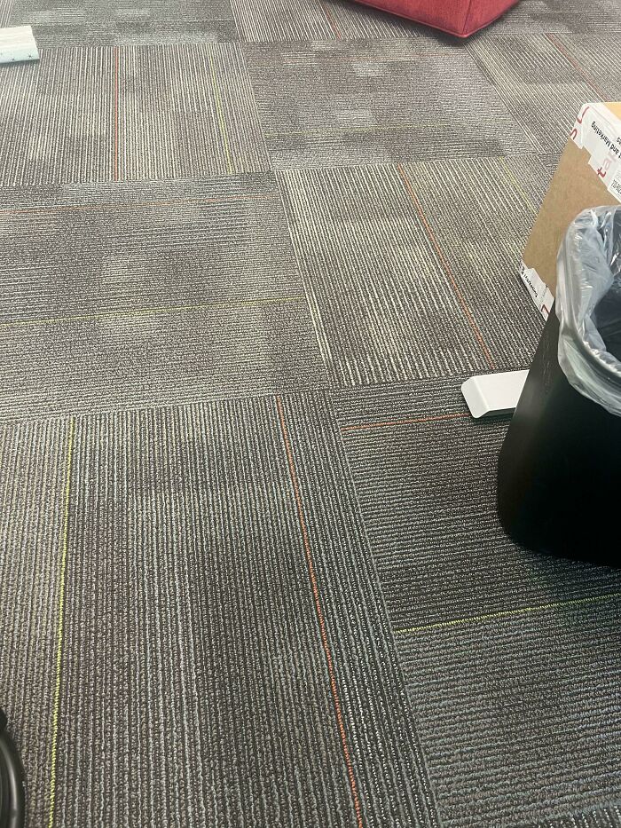 Can You Spot These Sneaky Things? Let’s Play Hide and Seek!