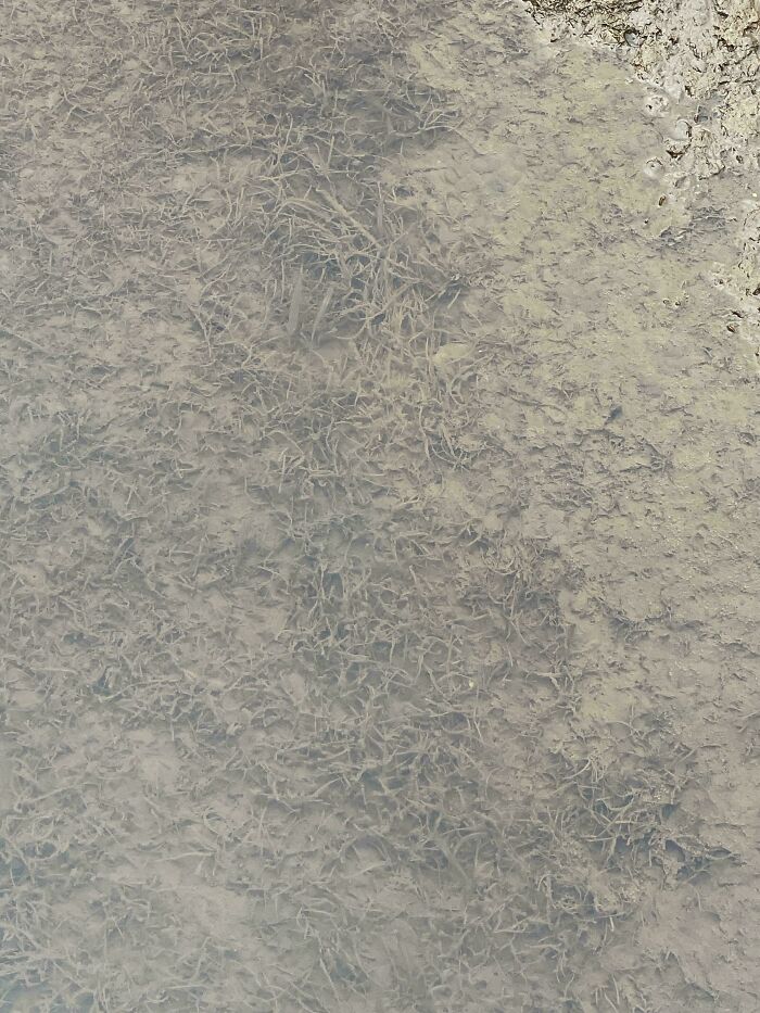 Can You Spot These Sneaky Things? Let’s Play Hide and Seek!