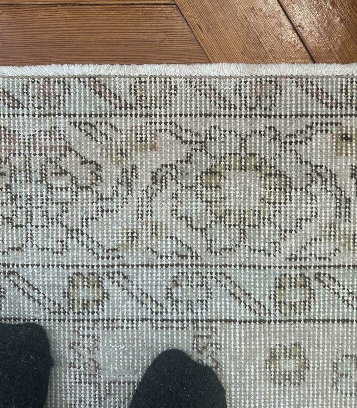 Can You Spot These Sneaky Things? Let’s Play Hide and Seek!