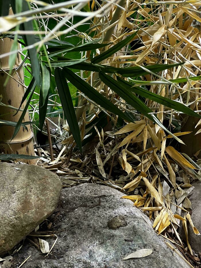 Can You Spot These Sneaky Things? Let’s Play Hide and Seek!