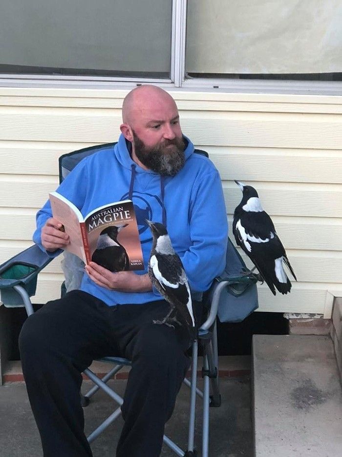 Wait Till You See These 60 Animal Pics That'll Totally Make Your Day