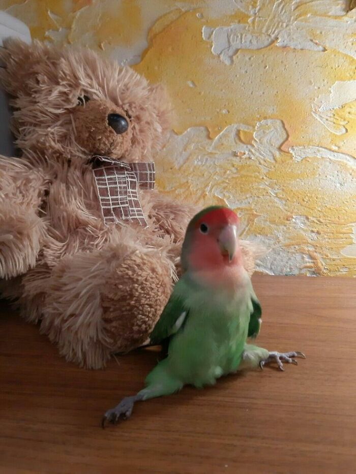 Wait Till You See These 60 Animal Pics That'll Totally Make Your Day