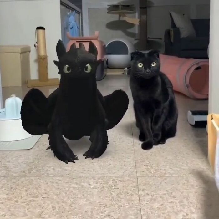 Wait Till You See These 60 Animal Pics That'll Totally Make Your Day