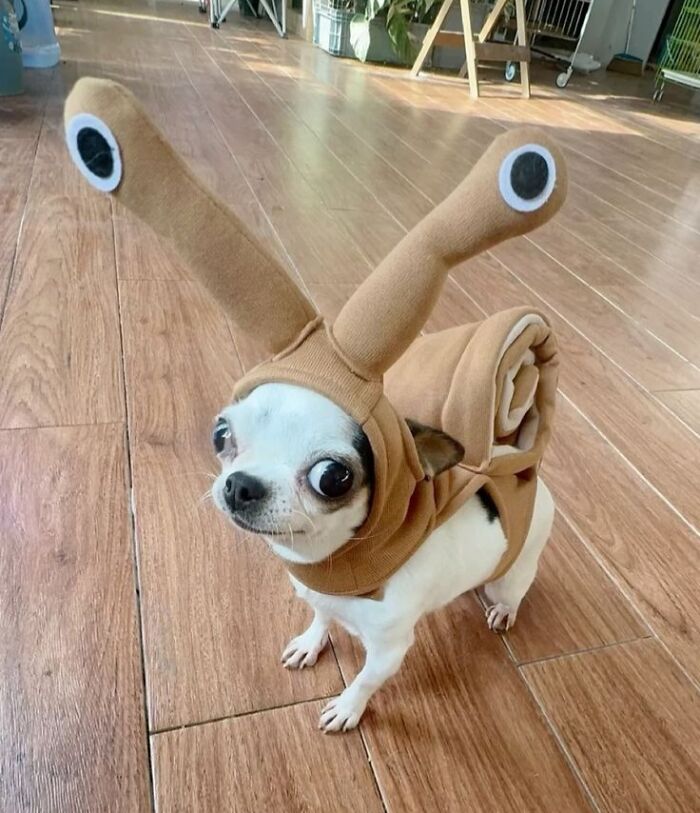 Wait Till You See These 60 Animal Pics That'll Totally Make Your Day