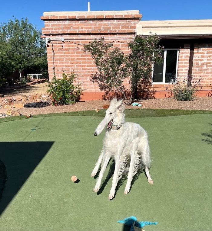 Wait Till You See These 60 Animal Pics That'll Totally Make Your Day