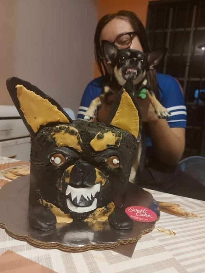 Wait Till You See These 60 Animal Pics That'll Totally Make Your Day