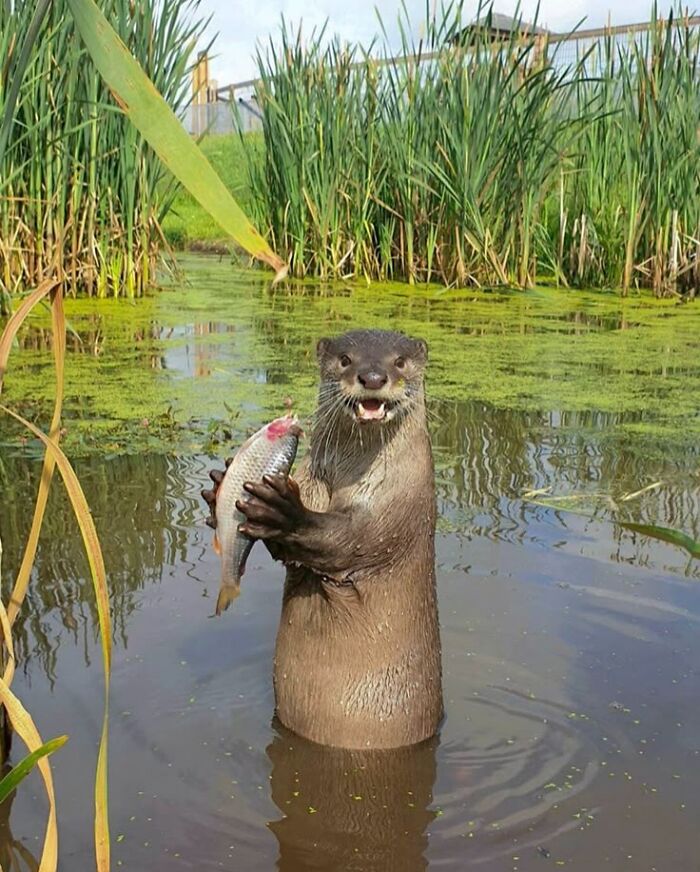 Wait Till You See These 60 Animal Pics That'll Totally Make Your Day