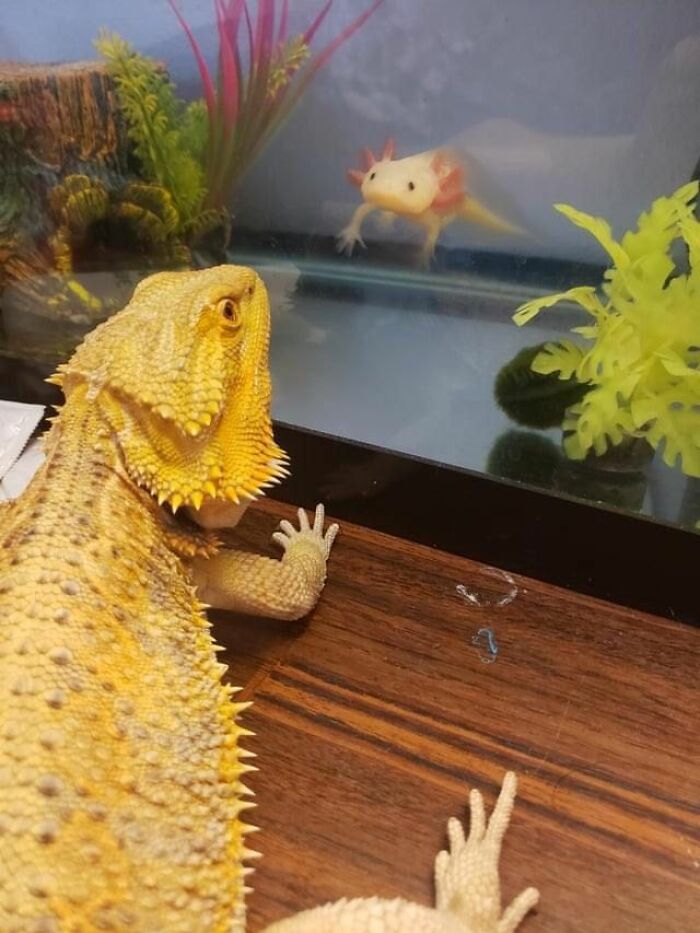 Wait Till You See These 60 Animal Pics That'll Totally Make Your Day