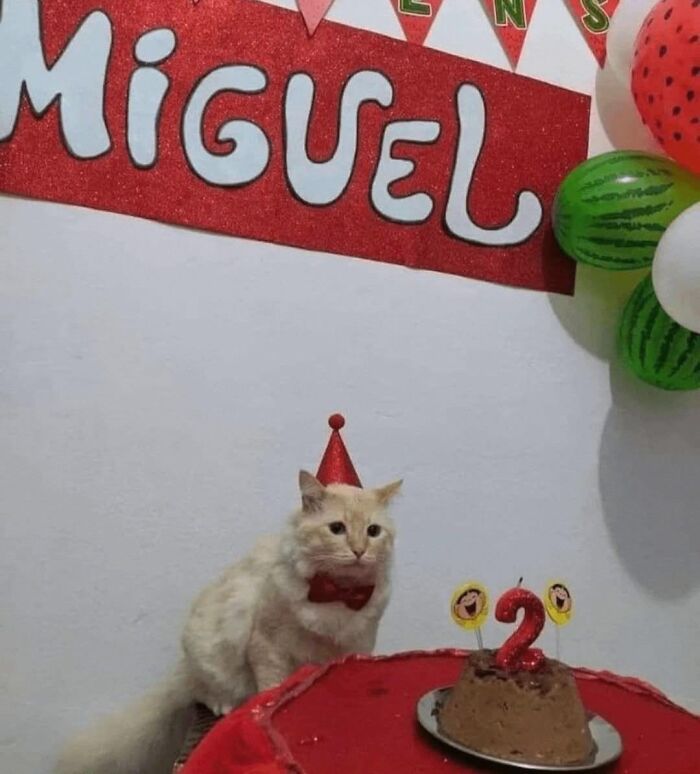 Wait Till You See These 60 Animal Pics That'll Totally Make Your Day